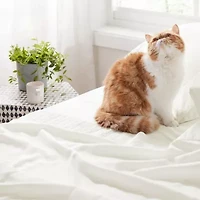 Hotel Luxury Embellished Hem Sheet Set