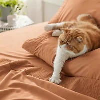 Hotel Luxury Embellished Hem Sheet Set