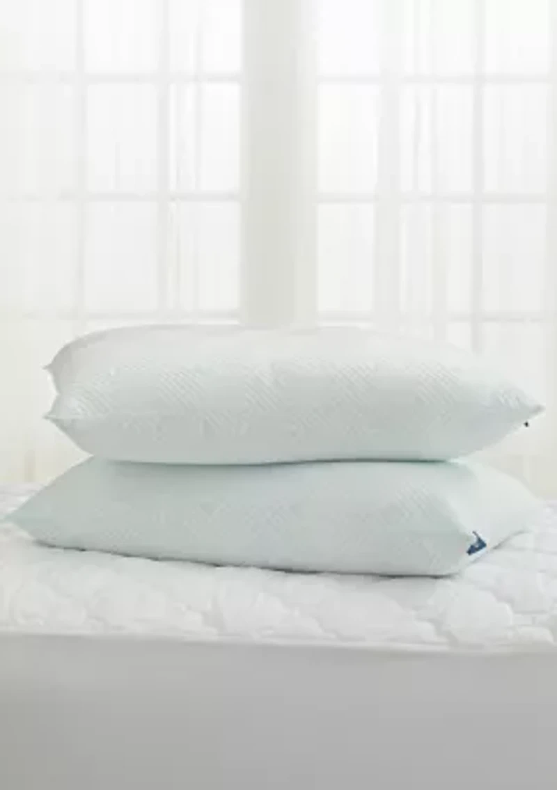 Set of 2 Cool Zen Bamboo Pillows