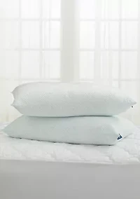 Set of 2 Cool Zen Bamboo Pillows