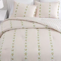 Annabelle Stripe Cotton Comforter Set