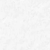 Camille 2-Pack Hand Towel Set