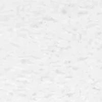 Camille 2-Pack Fingertip Towel Set