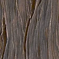 Black Bear Lodge Tissue Box