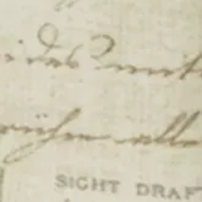 Colony Palm Tissue Box Cover