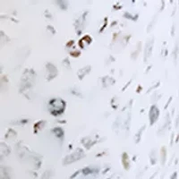 Coastal Terrazzo Bath Accessories Set
