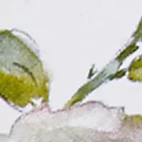 Butterfly Garden Jar