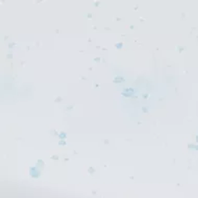 Caicos Platters and Trays