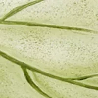 Ombré Leaves Bath Accessories Set
