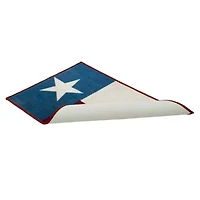 Texas Flag Rug