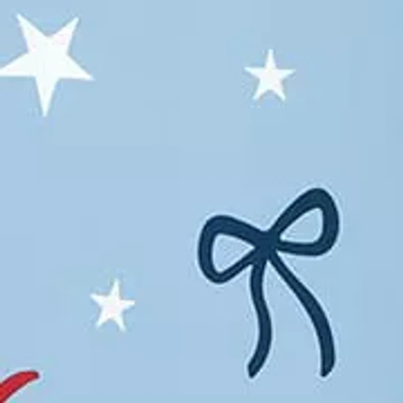 Sweet America Shower Curtain