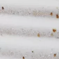 Drift Toothbrush Holder