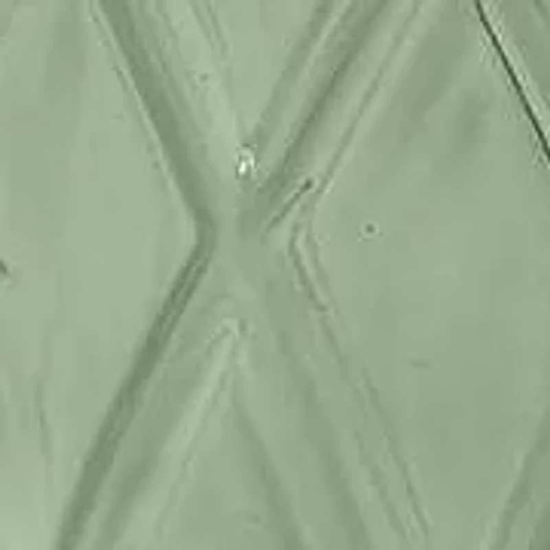 Bijou 2-Piece toothbrush Holder & Lotion Dispenser