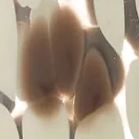 Safari 4-Piece Bath Accessory Set