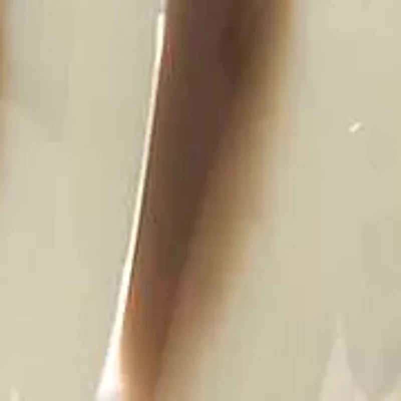 Safari 2-Piece Toothbrush Holder & Lotion Dispenser