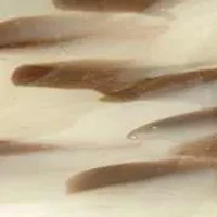 Safari 3-Piece Vanity Set