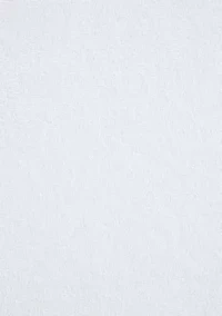 CleanBoost Waterproof Mattress Protector