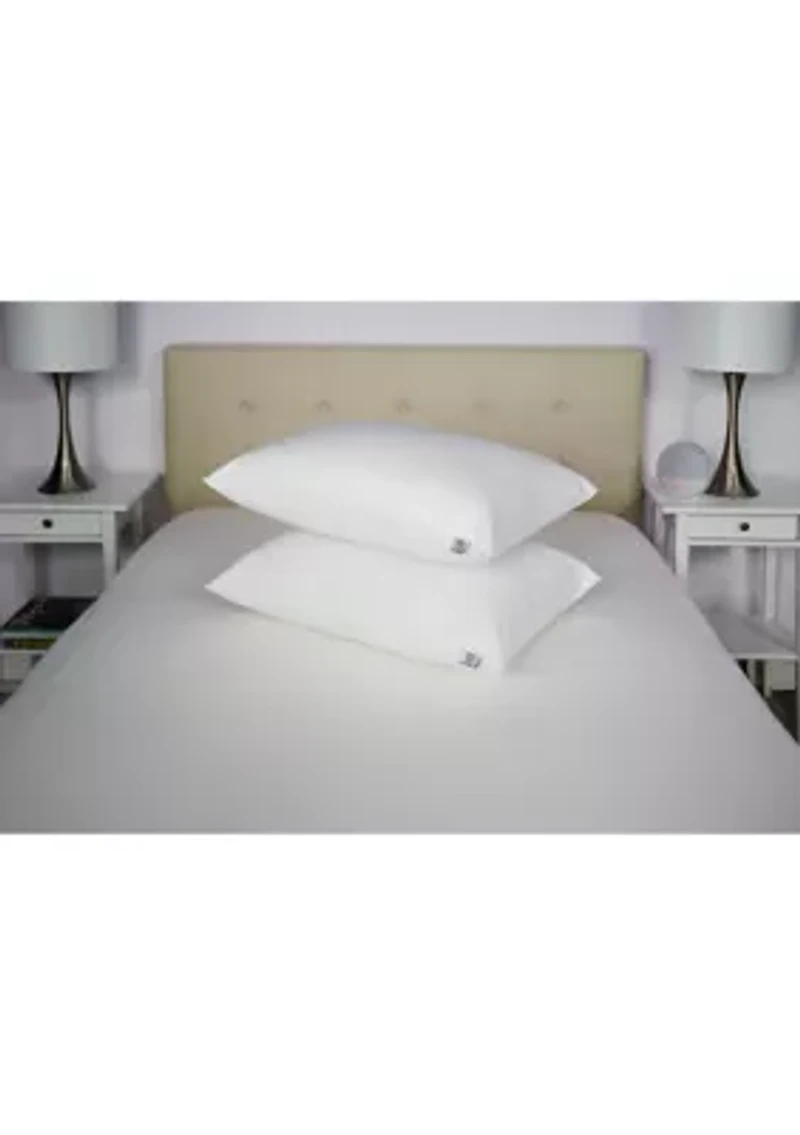 Total Allergy Defense Jumbo Pillow