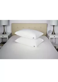 Total Allergy Defense King Pillow