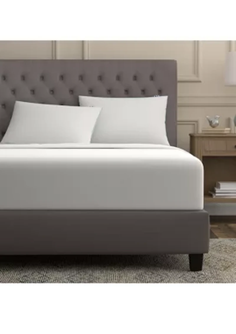 Extra Firm Density Jumbo Pillow