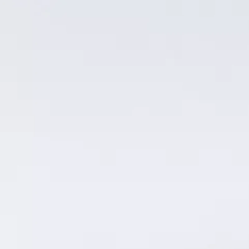 Set of 2 Ultra Soft Standard/Queen Pillow