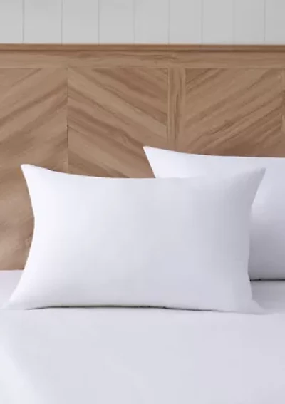Antimicrobial Pillow