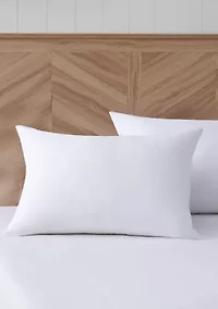 Antimicrobial Pillow