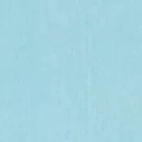 Dachshund Beach Towel