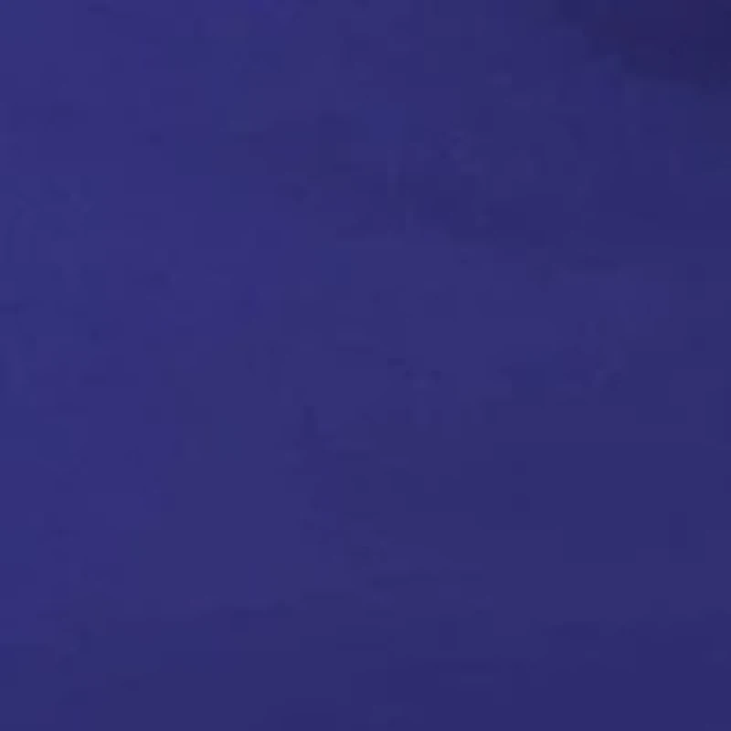 Garden Bloom Comforter Set