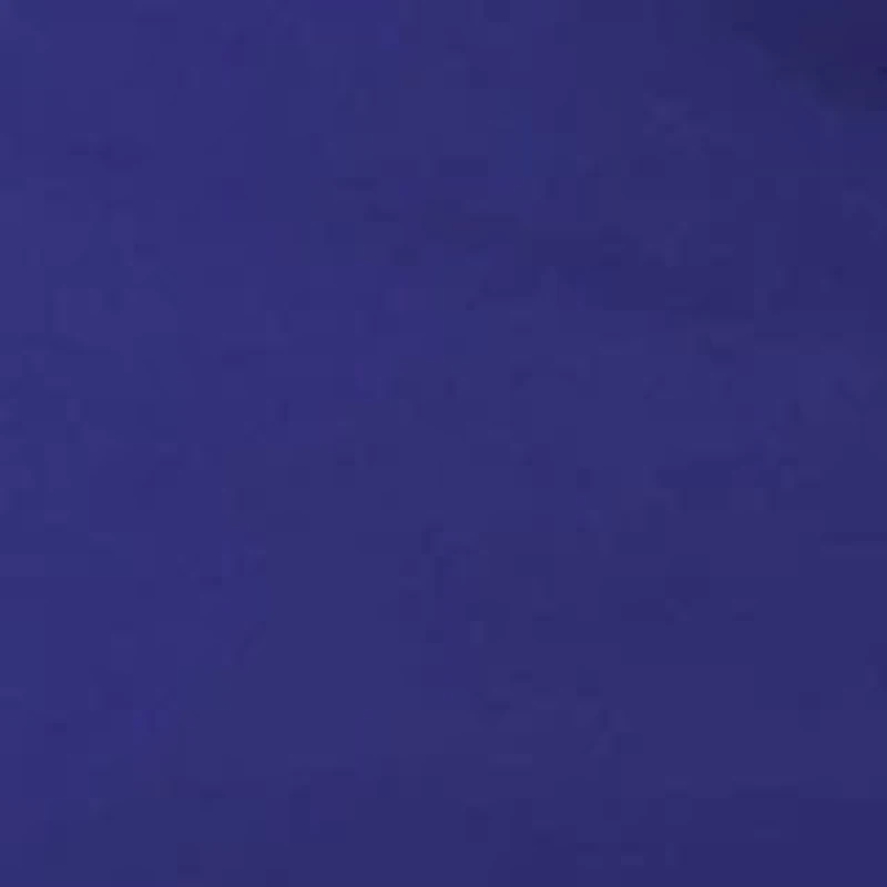 Garden Bloom Comforter Set