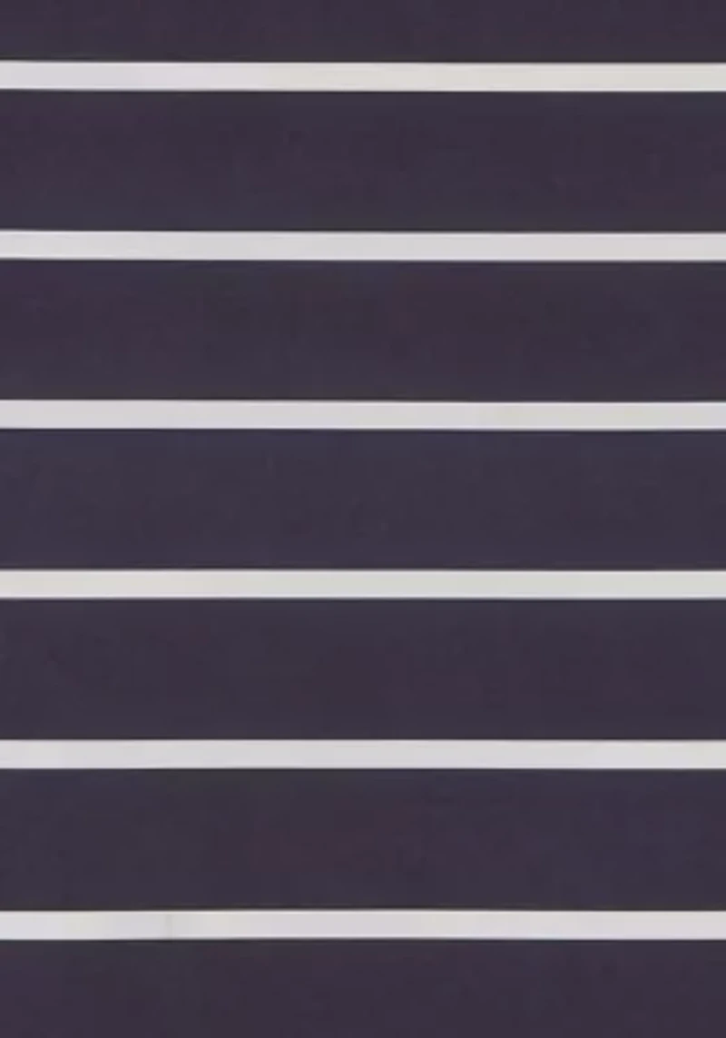 Truly Soft Maddow Stripe Navy Shower Curtain
