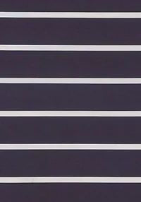 Truly Soft Maddow Stripe Navy Shower Curtain
