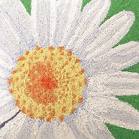 White Daisy Wool Hook Pillow