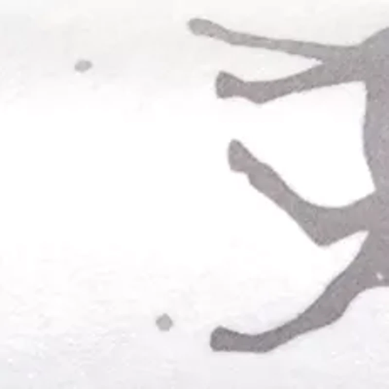 Heavy Weight Cotton Flannel Sheet Set