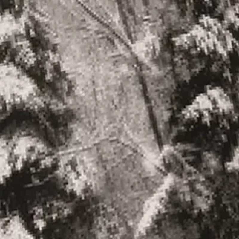 Celeste Home Velvet Soft Luxury Cotton Flannel Sheet Set