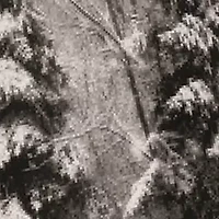 Celeste Home Velvet Soft Luxury Cotton Flannel Sheet Set