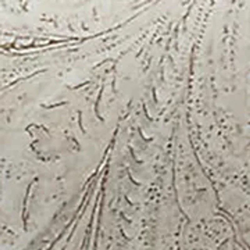 Marah Paisley Cotton Percale Full/Queen Duvet Cover Set