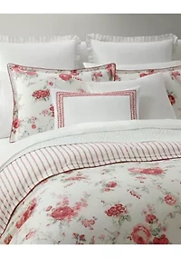 Sofia Cotton Sateen Comforter Set