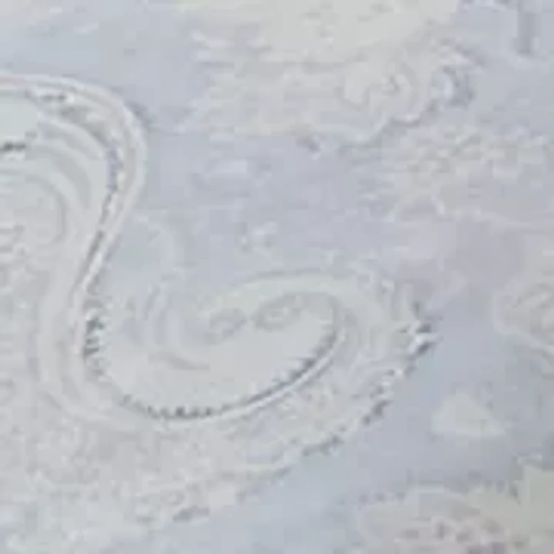 Leigh Paisley Comforter Set