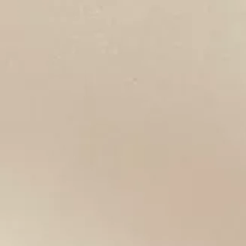 Jacqueline Boudoir Decorative Throw Pillow