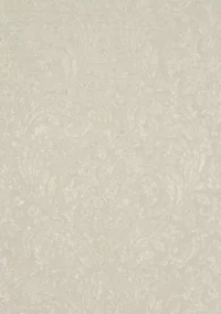 Celine Drapery Panel Pair