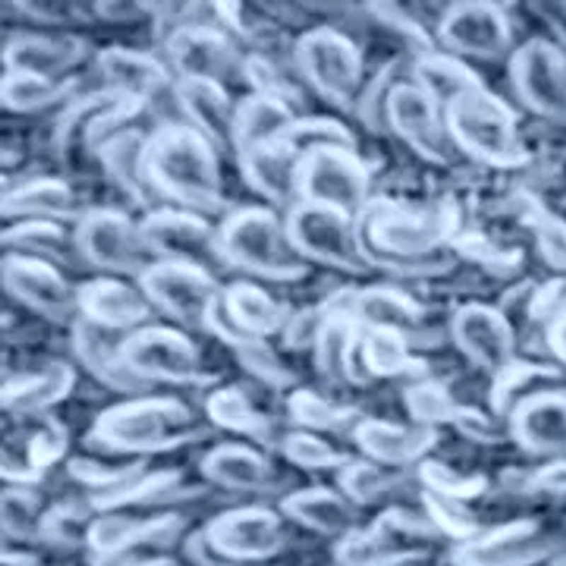 21-inch Drop Bed Skirt