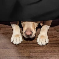 Martex Inverted Pleat Bed Skirt