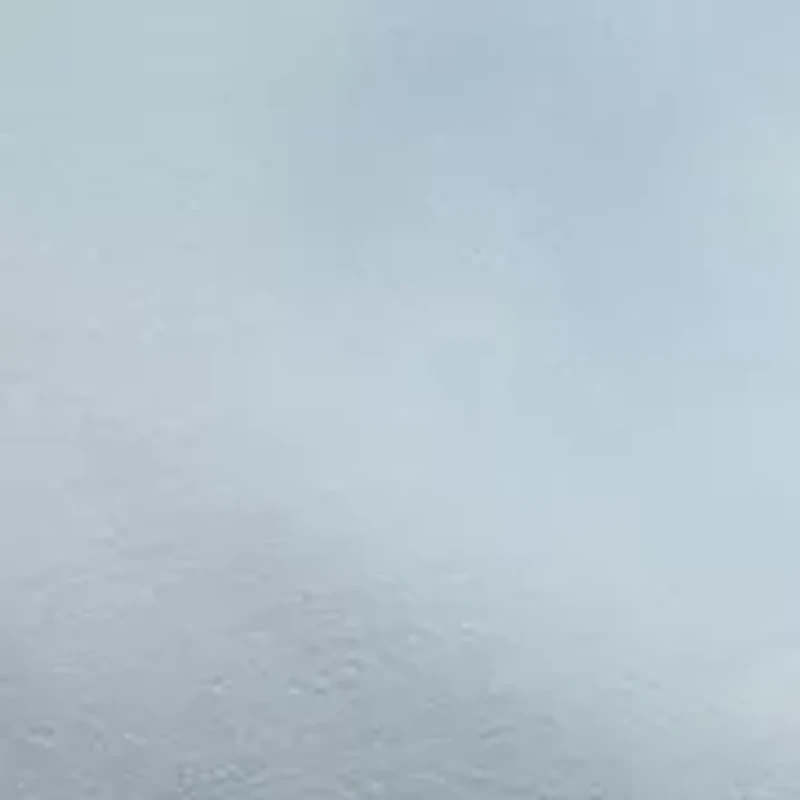 Easy Living 1200 Thread Count Sheet Set