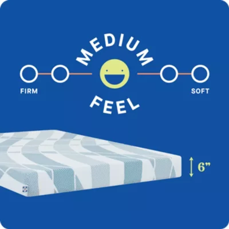 Sealy® Dreamlife™ 6” Foam Mattress-in-a-Box