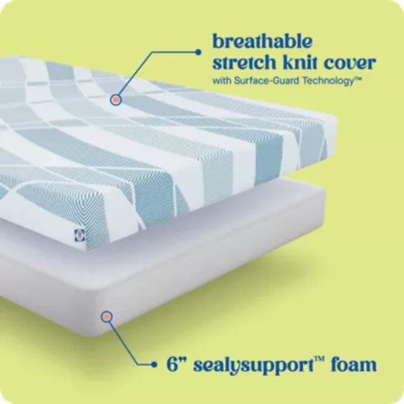 Sealy® Dreamlife™ 6” Foam Mattress-in-a-Box