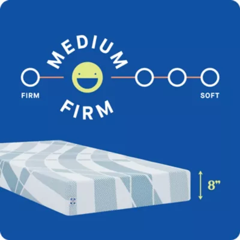 Sealy® Dreamlife™ 8” Foam Mattress-in-a-Box