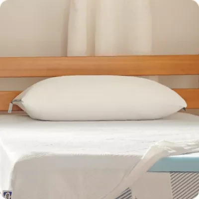 Sealy® Dreamlife™ Shredded Foam Pillow, Standard