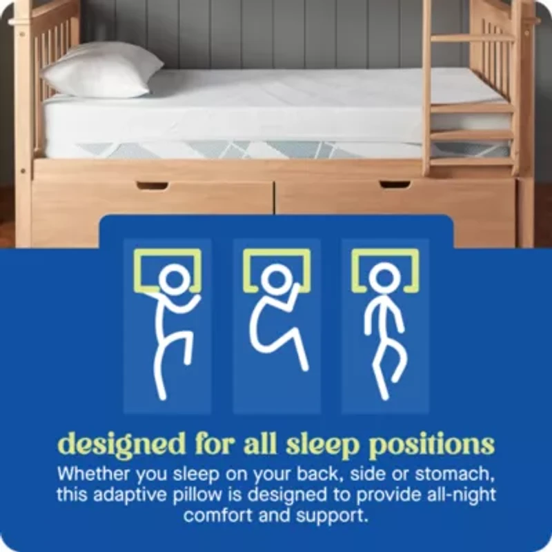 Sealy® Dreamlife™ Shredded Foam Pillow, Standard