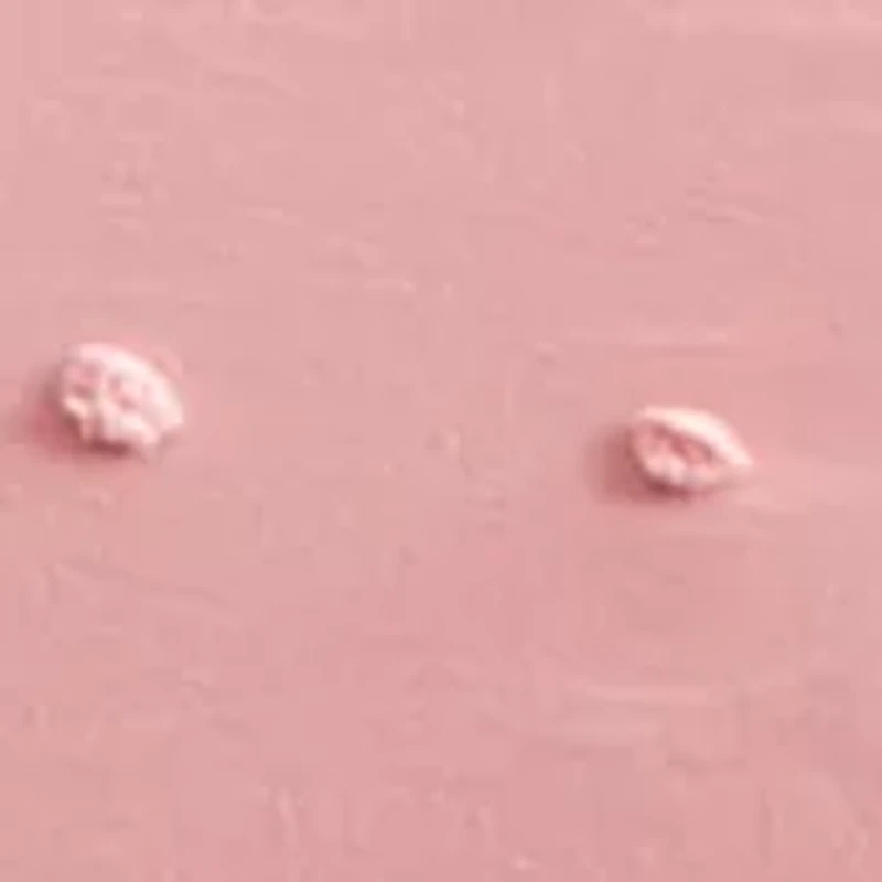 Callie Comforter Set